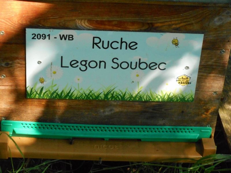 La ruche Legon Soubec